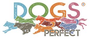 Dogs Perfect vers vlees voeding
